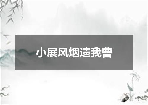 小展风烟遗我曹