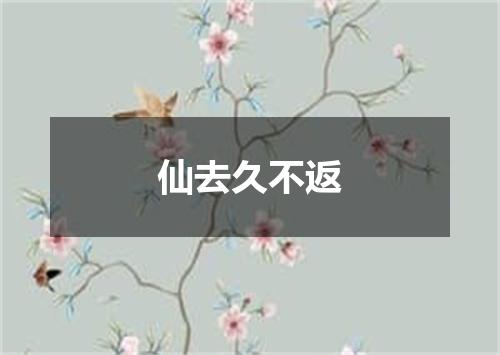 仙去久不返