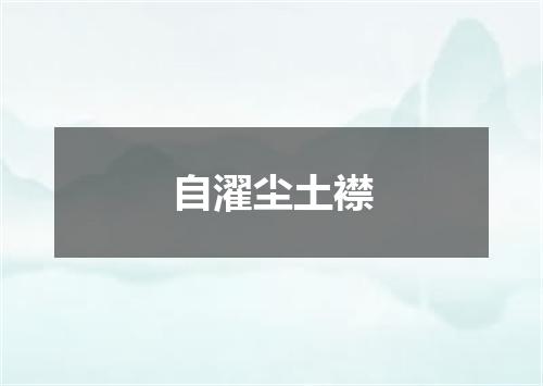 自濯尘土襟