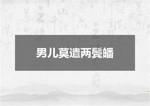 男儿莫遣两鬓皤