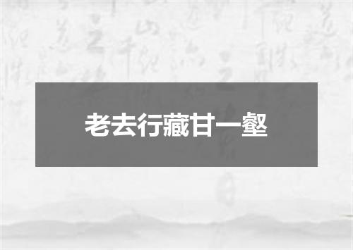 老去行藏甘一壑