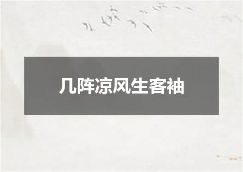 几阵凉风生客袖