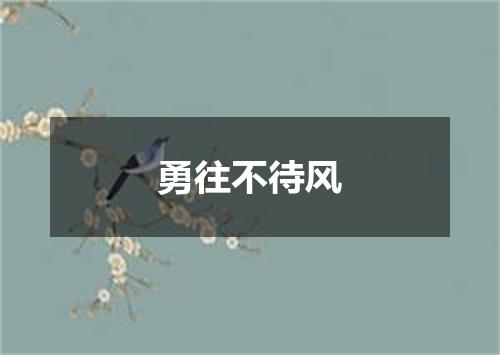 勇往不待风
