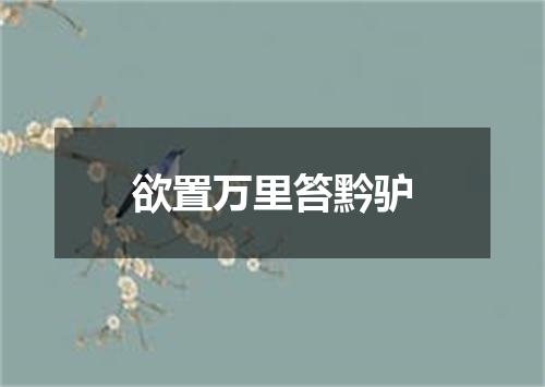 欲置万里笞黔驴