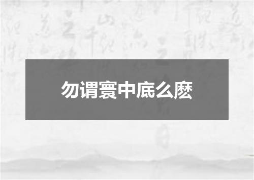 勿谓寰中底么麽