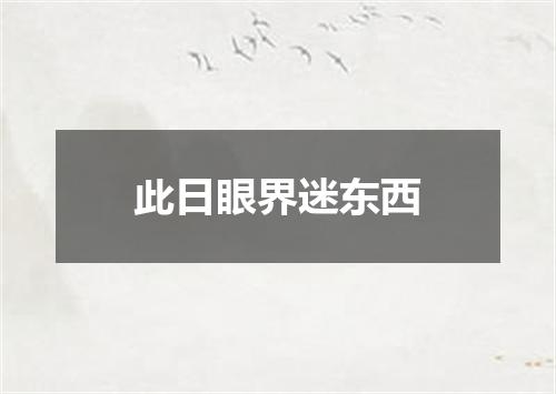 此日眼界迷东西