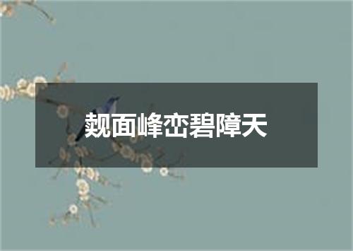觌面峰峦碧障天