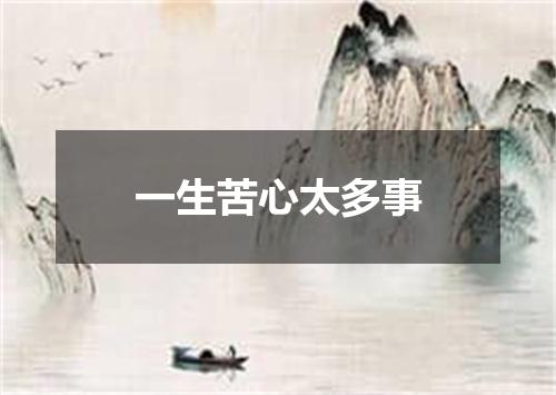 一生苦心太多事
