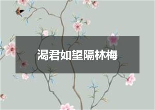渴君如望隔林梅