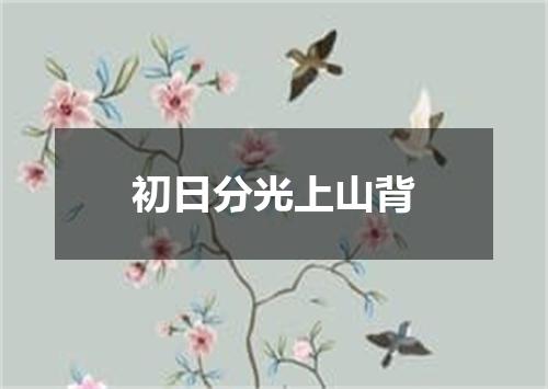 初日分光上山背