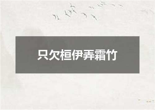 只欠桓伊弄霜竹