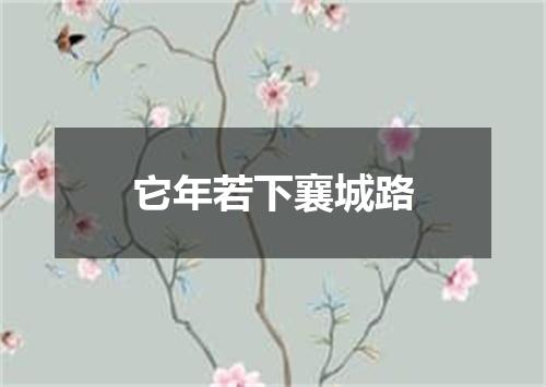 它年若下襄城路