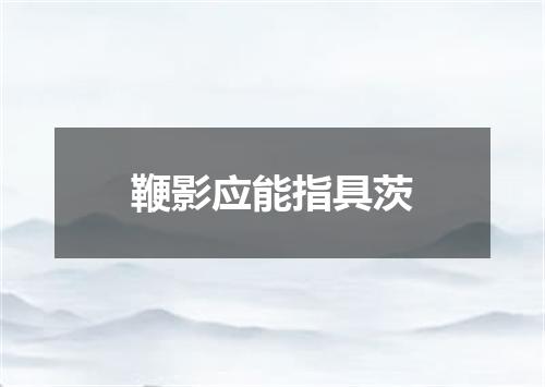 鞭影应能指具茨