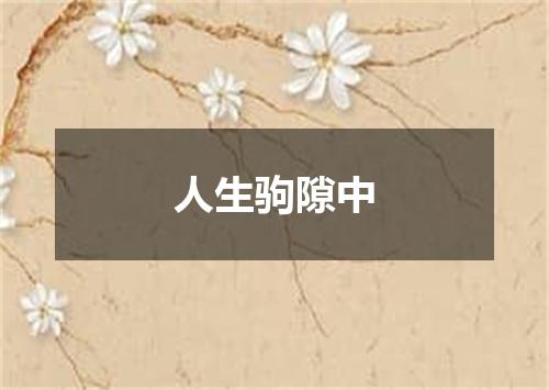 人生驹隙中