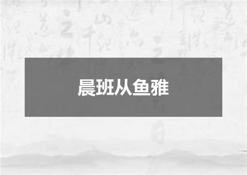 晨班从鱼雅