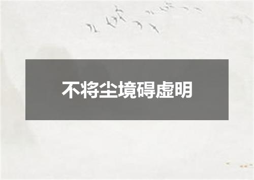 不将尘境碍虚明