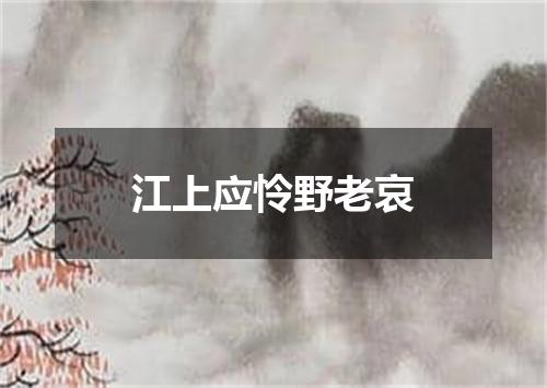 江上应怜野老哀