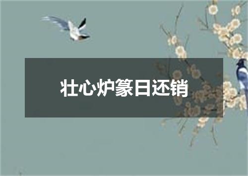 壮心炉篆日还销