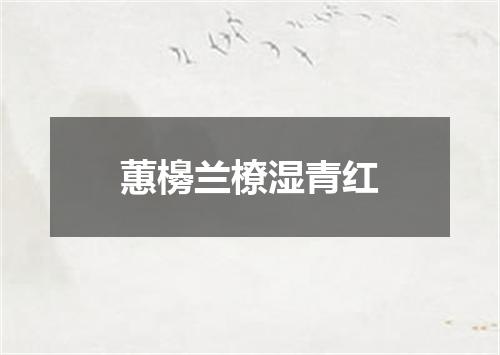 蕙櫋兰橑湿青红