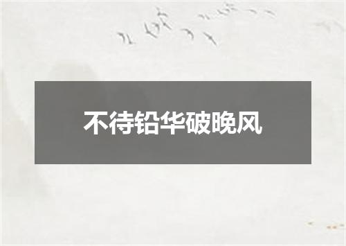 不待铅华破晚风