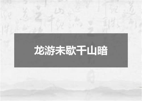 龙游未歇千山暗