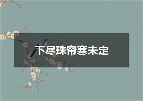 下尽珠帘寒未定