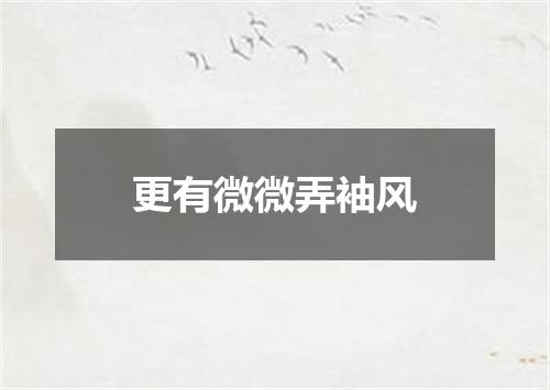 更有微微弄袖风