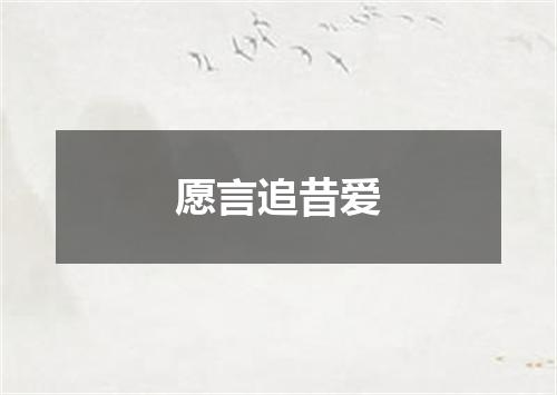 愿言追昔爱