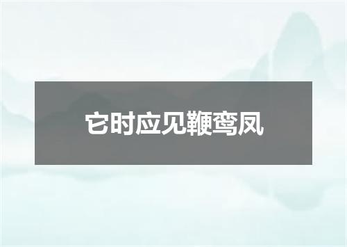它时应见鞭鸾凤