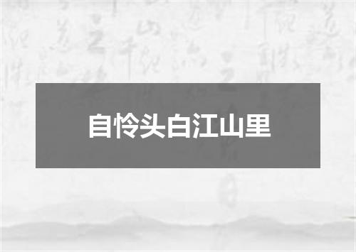 自怜头白江山里