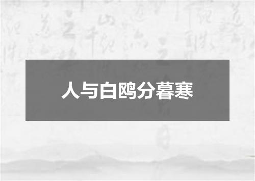 人与白鸥分暮寒