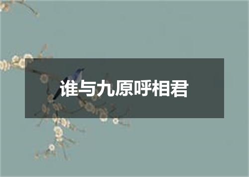 谁与九原呼相君