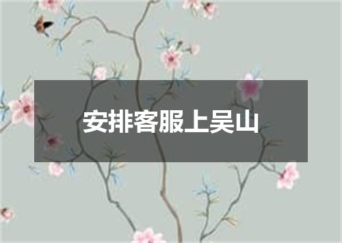 安排客服上吴山
