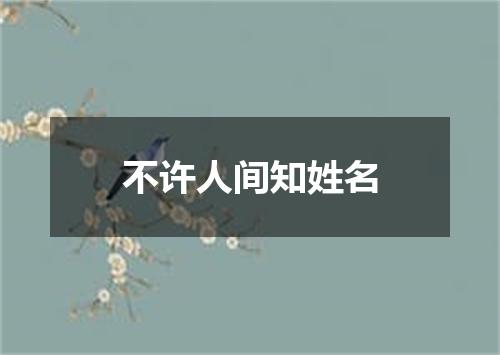 不许人间知姓名