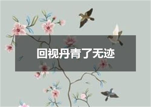 回视丹青了无迹
