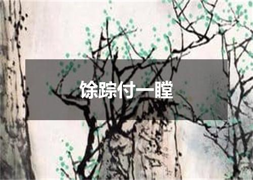 馀踪付一瞠