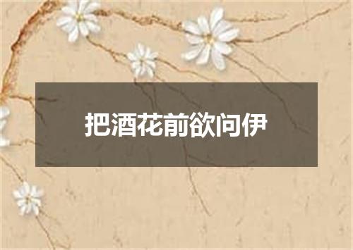 把酒花前欲问伊