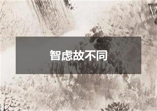 智虑故不同