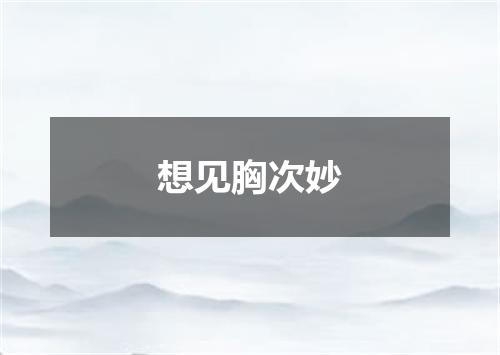 想见胸次妙