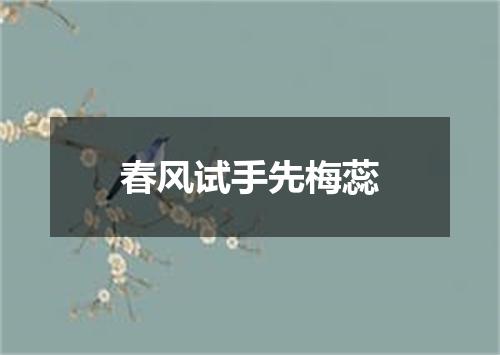 春风试手先梅蕊