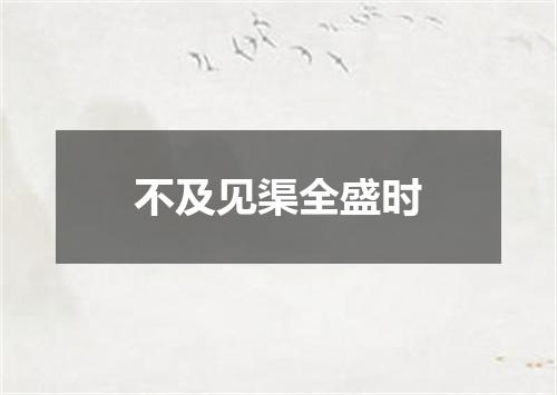 不及见渠全盛时