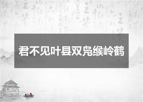 君不见叶县双凫缑岭鹤