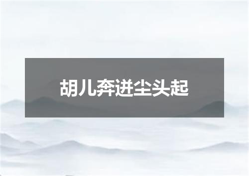 胡儿奔迸尘头起