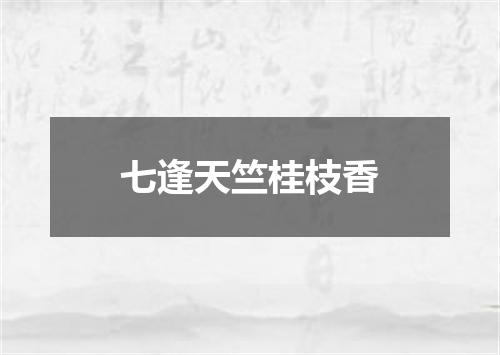 七逢天竺桂枝香