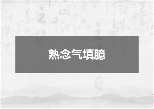 熟念气填臆