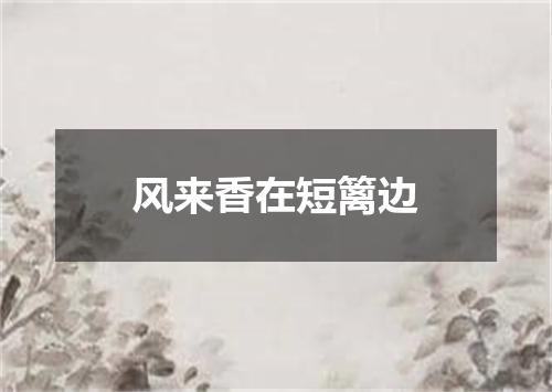 风来香在短篱边