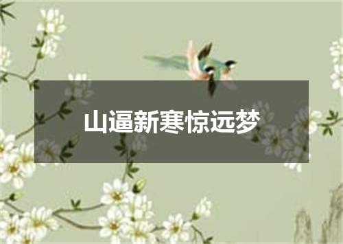 山逼新寒惊远梦