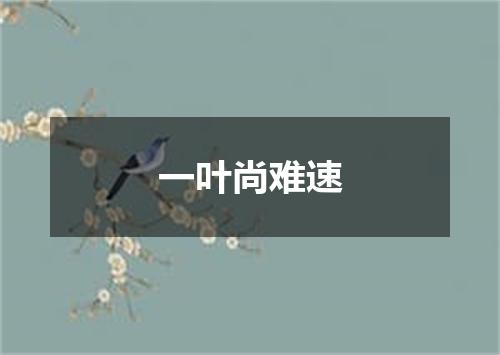 一叶尚难速
