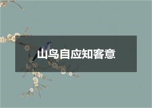 山鸟自应知客意