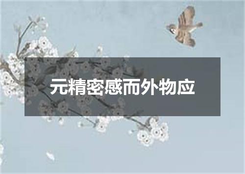 元精密感而外物应